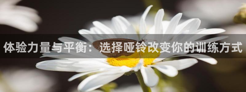 yy易游体育官网下载平台注册流程视频：体验力量与平衡：选择哑
