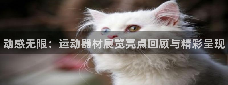 yy易游体育官网下载软件：动感无限：运动器材展览亮点回顾与精