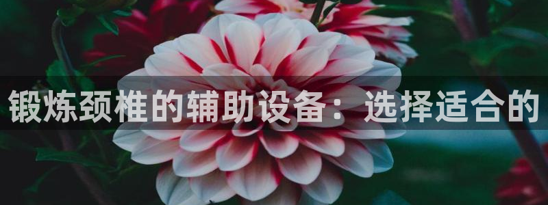 yy易游体育官网下载招商电话是多少啊：锻炼颈椎的辅助设备：选