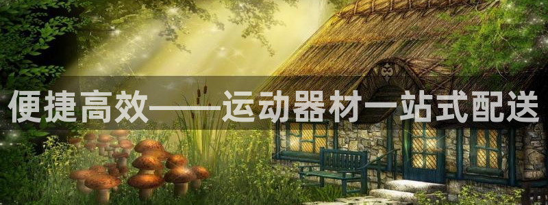 yy易游体育官方正版app科技：便捷高效——运动器材一站式配