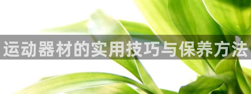 海南yy易游体育官网下载发展怎么样：运动器材的实用技巧与保养