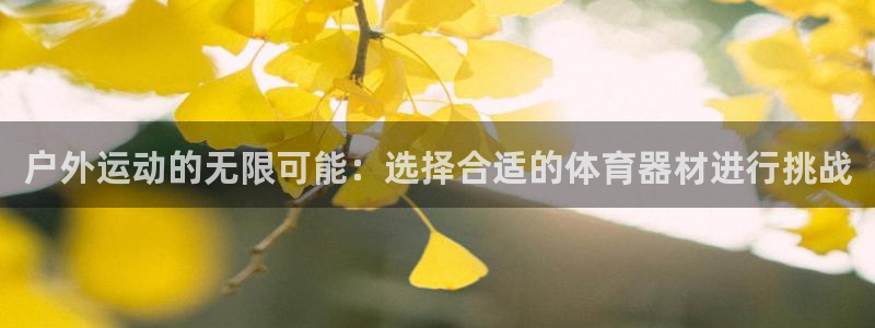 yy易游体育官方正版app集团logo：户外运动的无限可能：