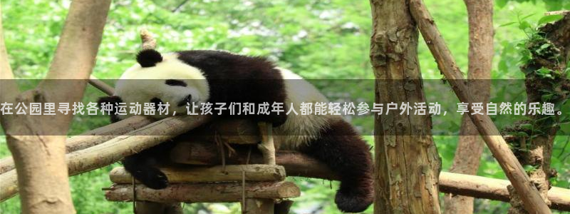 yy易游体育官网下载招商电话号码是多少：在公园里寻找各种运动