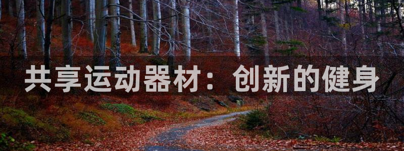 yy易游体育官方正版app科技：共享运动器材：创新的健身