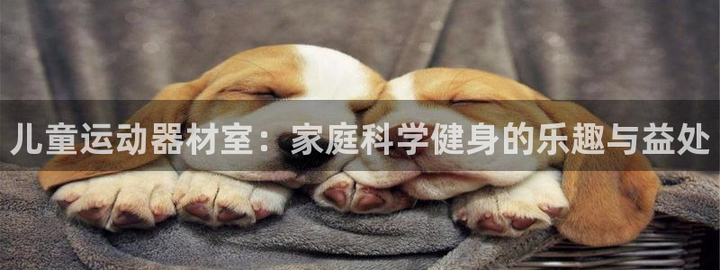 yy易游体育官方正版app娱乐代理怎么样：儿童运动器材室：家